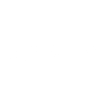 rapid drop couriers logo white